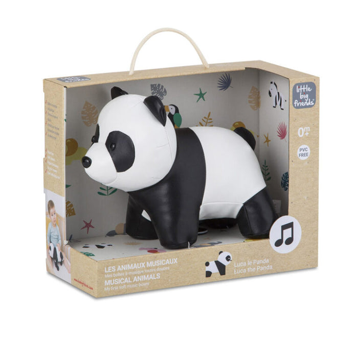 Panda Lucas Musical