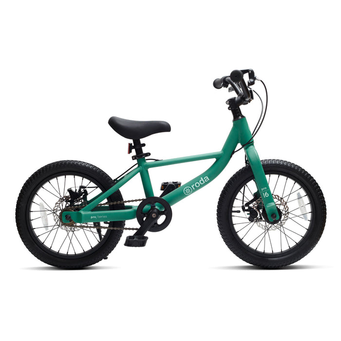Bicicleta Pro 16 Verde Roda