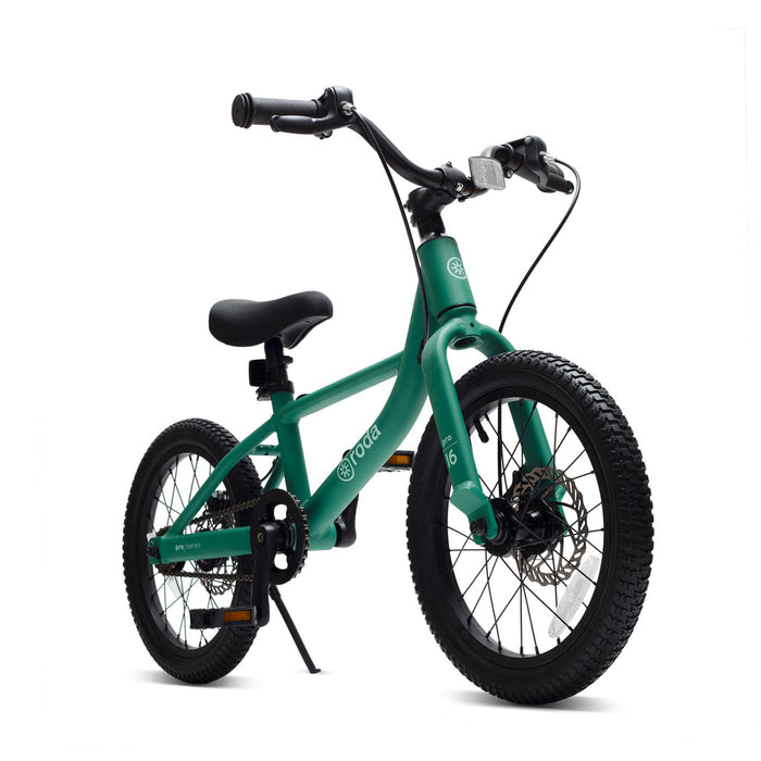 Bicicleta Pro 16 Verde Roda