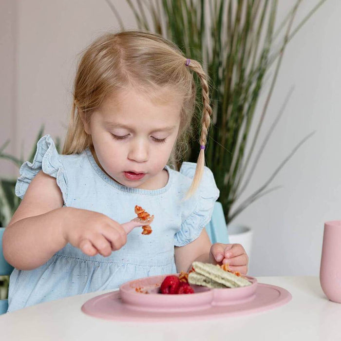 Feeding Set Blush