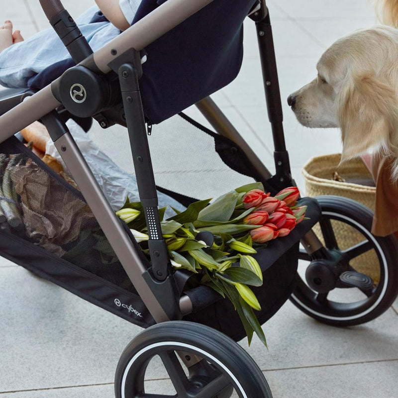 Coche de paseo Gazelle S 3.0